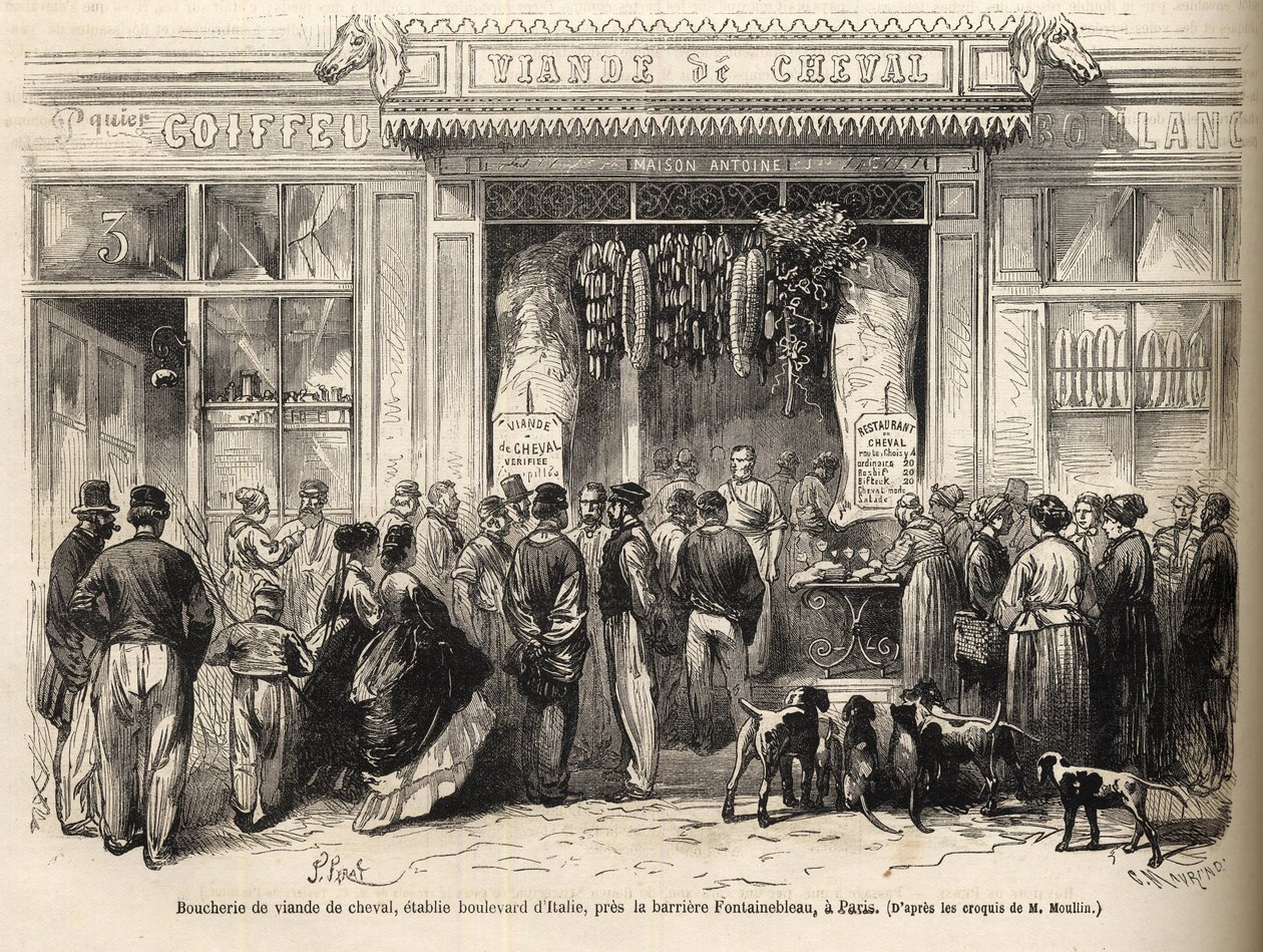 The horse butcher