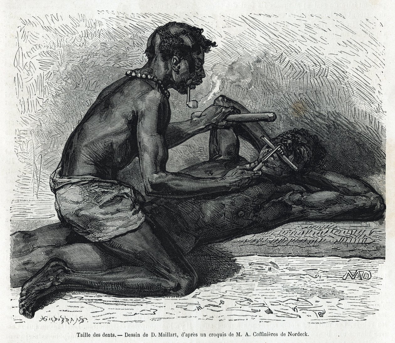 The size of the teeth in the Okanda, drawing by D. Maillard, to illustrate the story of a trip to Gabon and the Ogoue River in 1875-1877, by Alfred Marche. Engraving in Le tour du monde 作者 法语学校