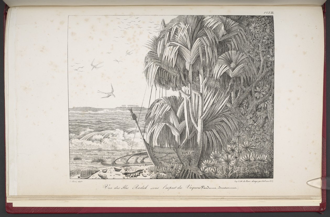 拉达克群岛景色，选自路易-乔里斯的作品《Vues et paysages des régions équinoxiales, recueillis dans un voyage autour du monde》。 作者 法语学校