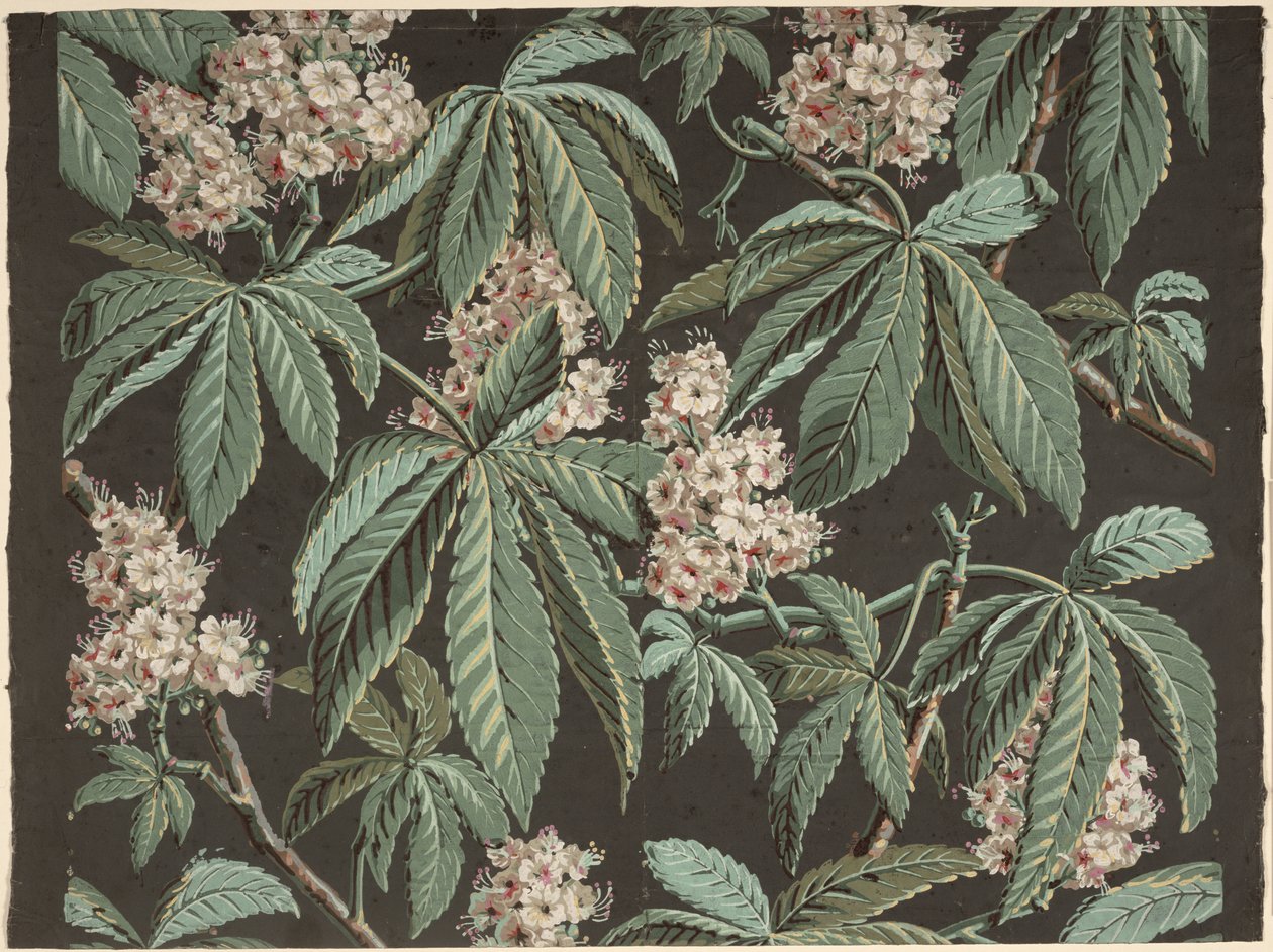 与栗子分支（细节）ca.的墙纸设计。 1810年，由Josef Dufour（1752-1827），巴黎制造， 作者 法语学校