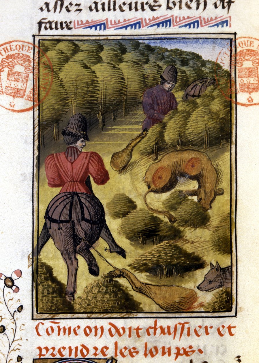 Wolf Hunt- in “” Hunting Book of Gaston Phoebus, Count of Foix, Lord of Béarn”” 作者 法语学校