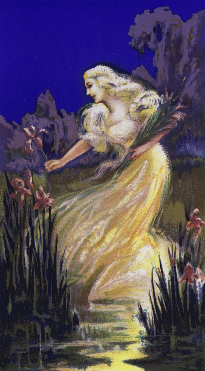 采摘鸢尾花的妇女（彩色石版画） 作者 法语学校