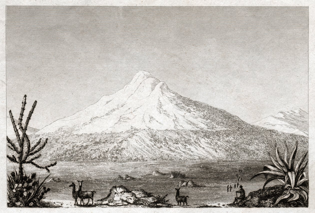 钦博拉索(Chimborazo)火山。(版画，约1840年) 作者 弗里德里希·亚历山大·男爵冯·洪堡（后）