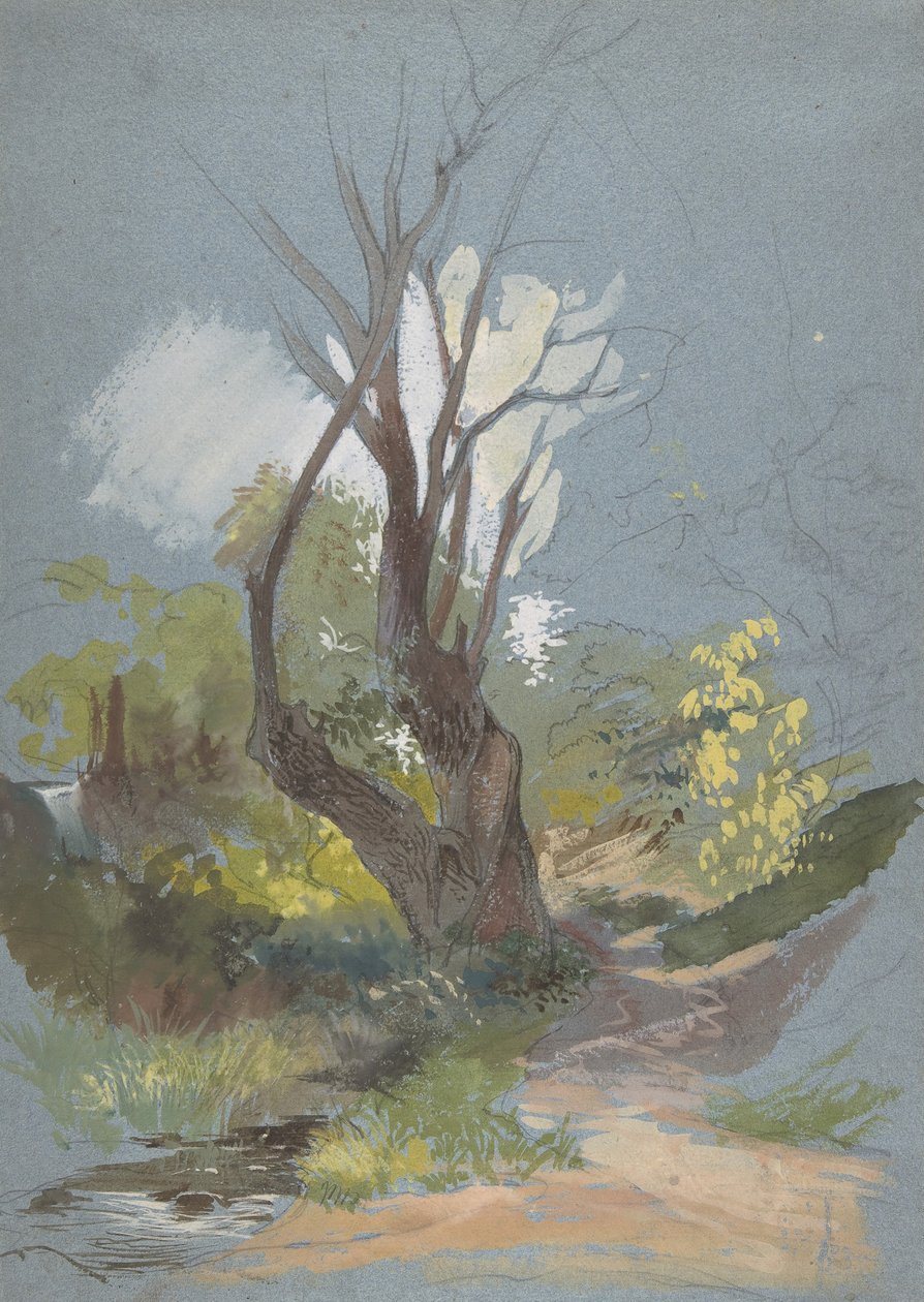 有树的山路，1820-78。 作者 弗雷德里克·纳利