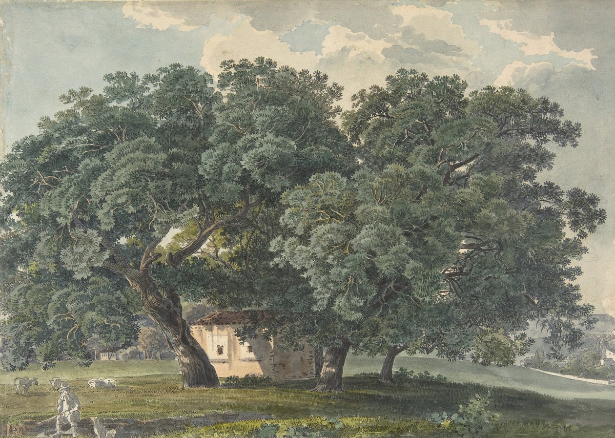 意大利风景与树木的直页，1815-21。 作者 弗里德里希·萨拉特（FriedrichSalathé）