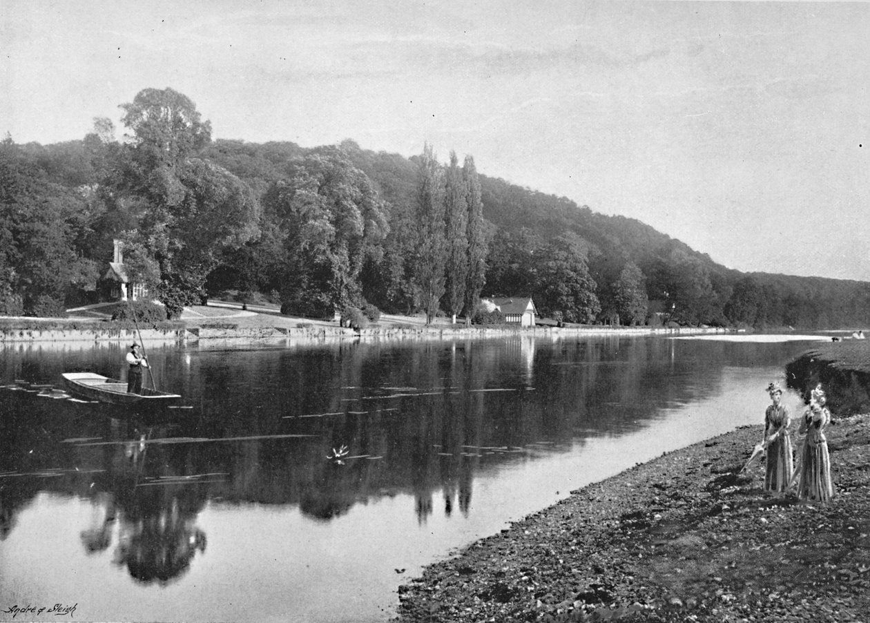克莱夫登森林（Cliefden Woods），c1896 作者 弗里斯公司