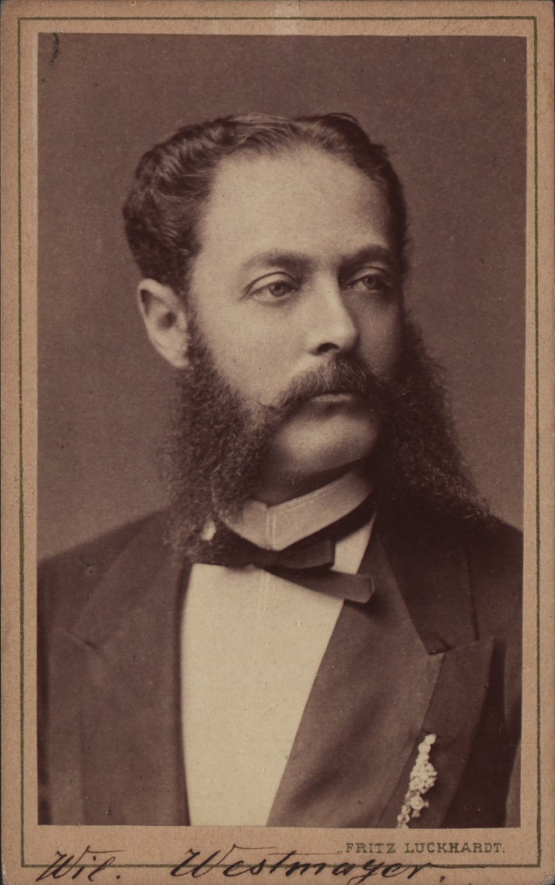 作曲家Wilhelm Westmeyer 1829-1880的肖像。 作者 弗里茨·勒克哈特