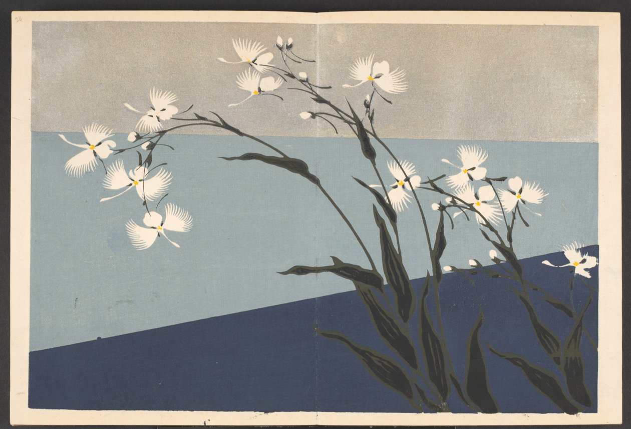 Shasei sôka môyô，生活中的花草图案 作者 古屋光林