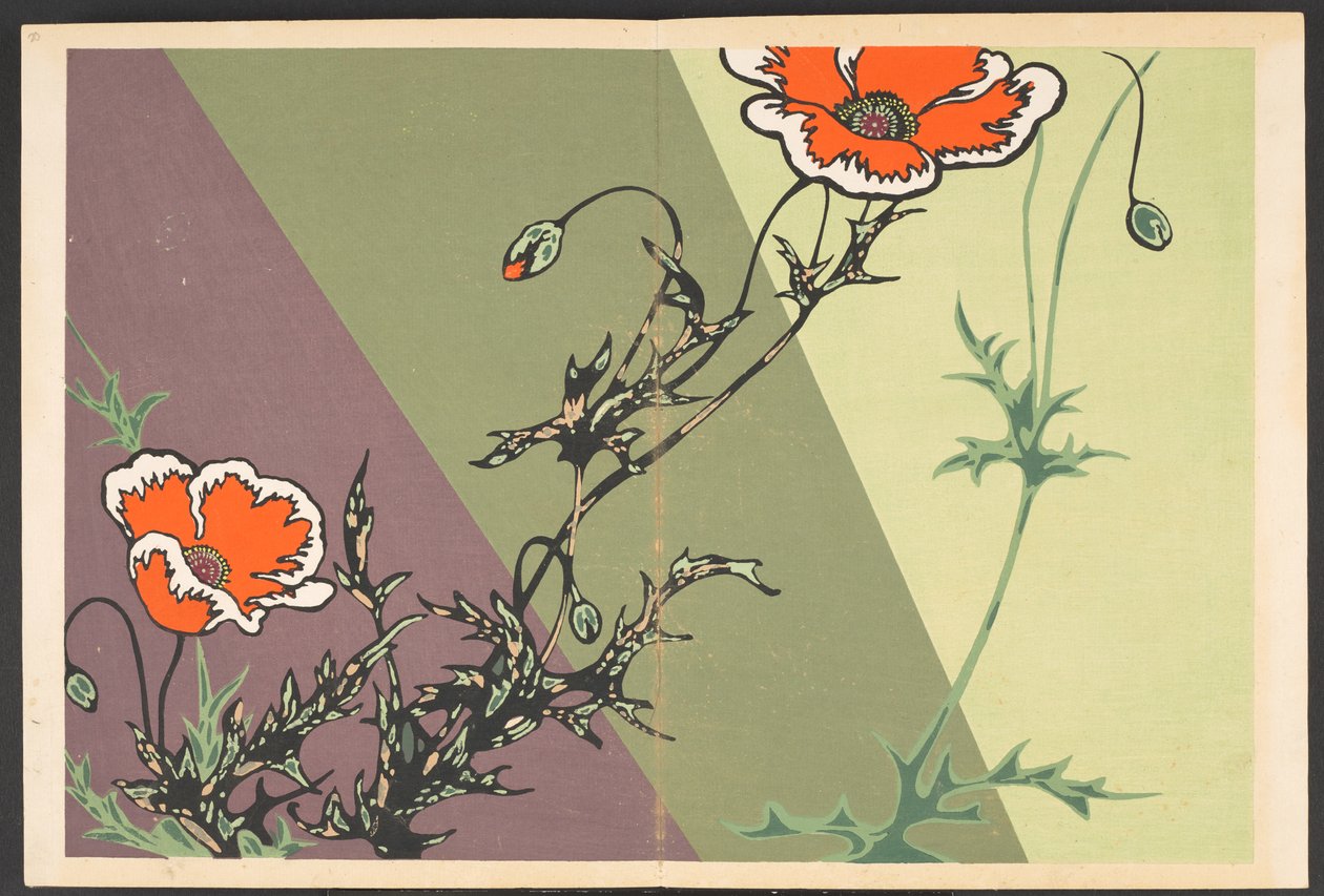Shasei sôka môyô，生活中的花草图案 作者 古屋光林