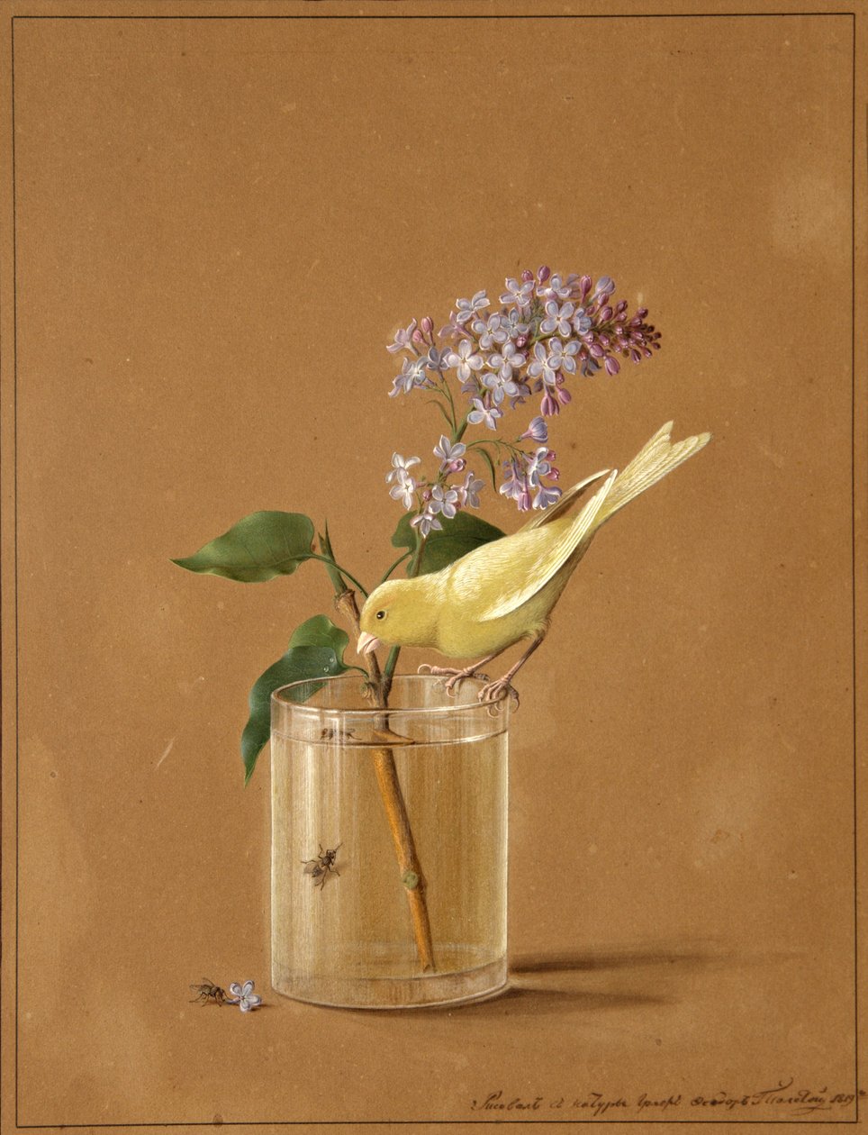 丁香花小枝上的金丝雀，1819年 作者 费奥多尔·彼得罗维奇·托尔斯泰