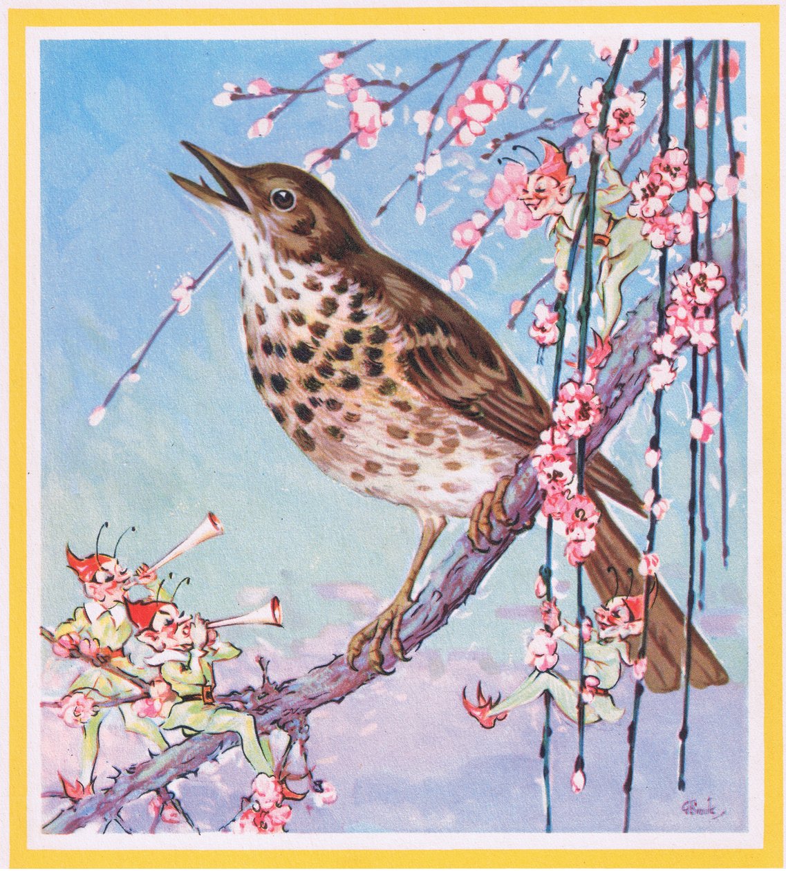 画眉 作者 布鲁克斯