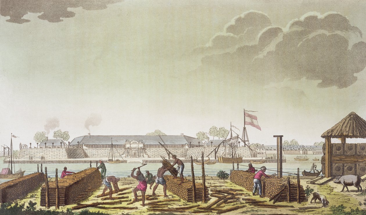 位于巴达维亚的Fort with Native Loggers，来自Jules Ferrario的&39;Le Costume Ancien et Moderne&39;的50块板，出版于1820年代至30年代 作者 卡斯特利尼