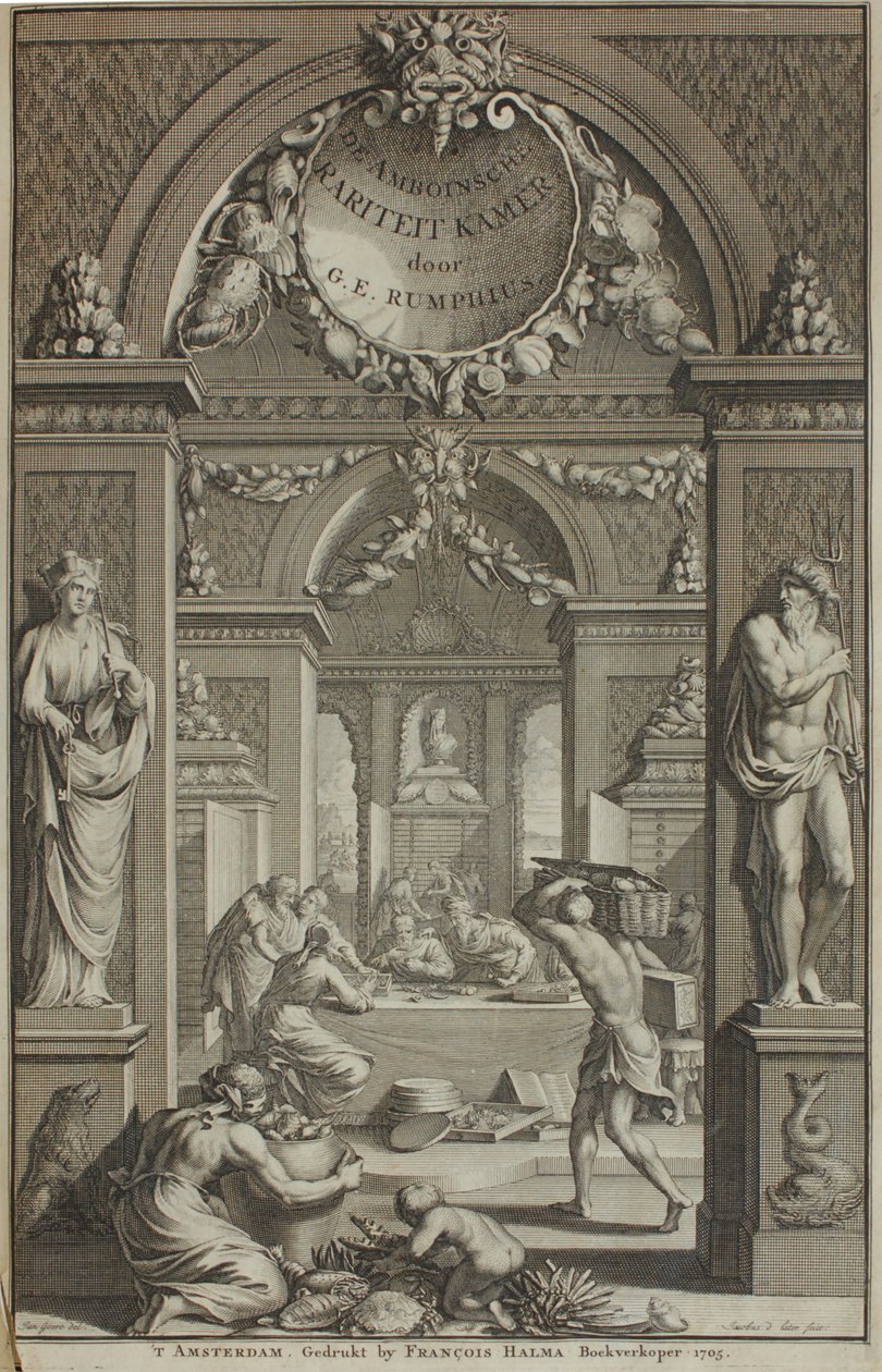 GE Rumphius，Amboinische Rariteikammer，阿姆斯特丹1705 作者 通用鲁比斯