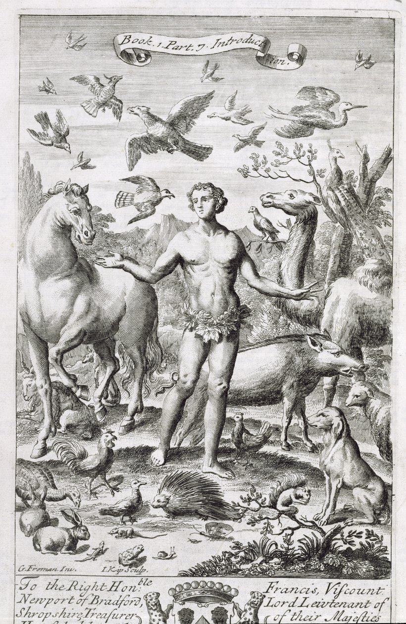 Adam in the Animals with the Animals，插图由Anthony Le Grand撰写的第1部分“哲学原理”第7部分，由Johannes Kip（165253-1722），1694年镌刻 作者 弗里曼