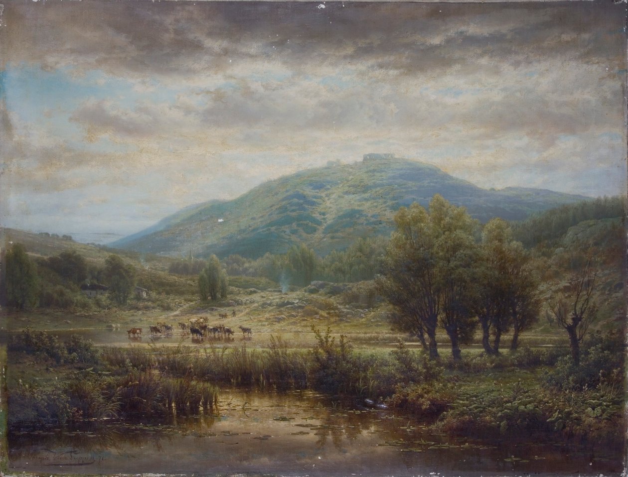 阿登的回忆》，1854-1891年 作者 GJ Adrien van Luppen