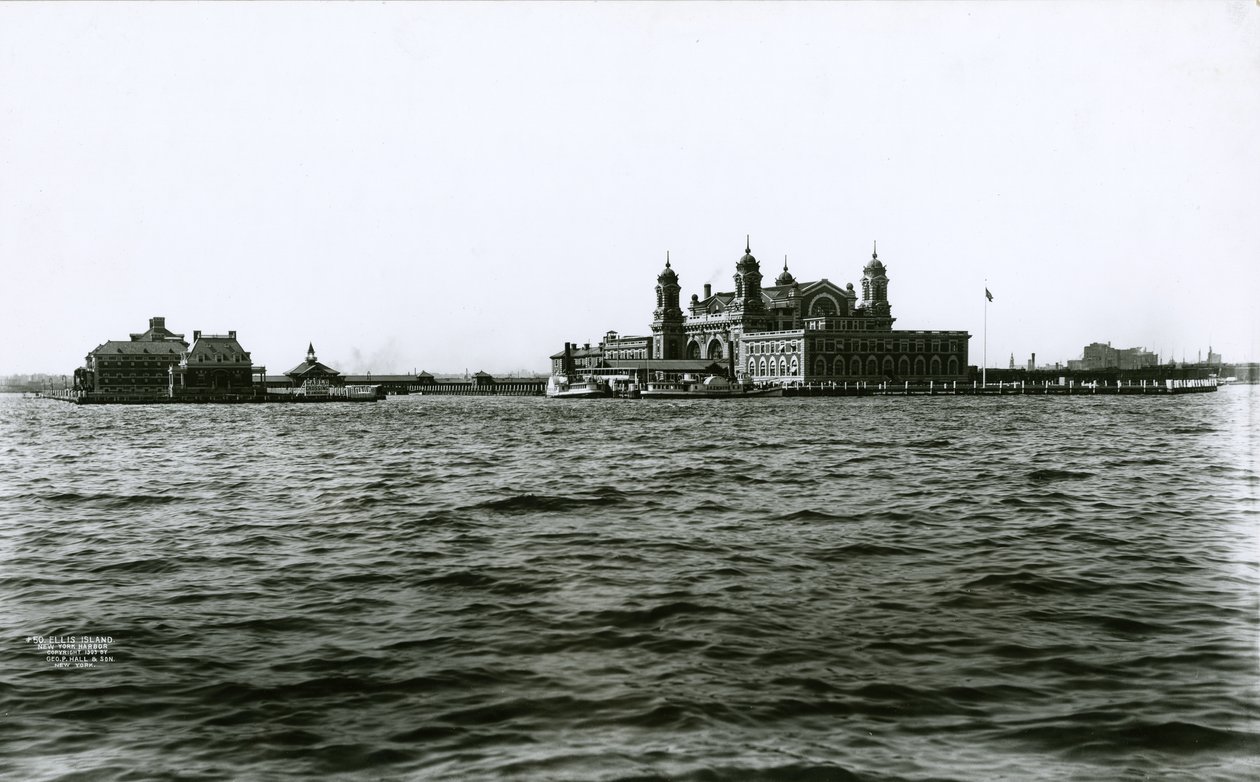 埃利斯岛，纽约港，1903年 作者 GP堂和儿子