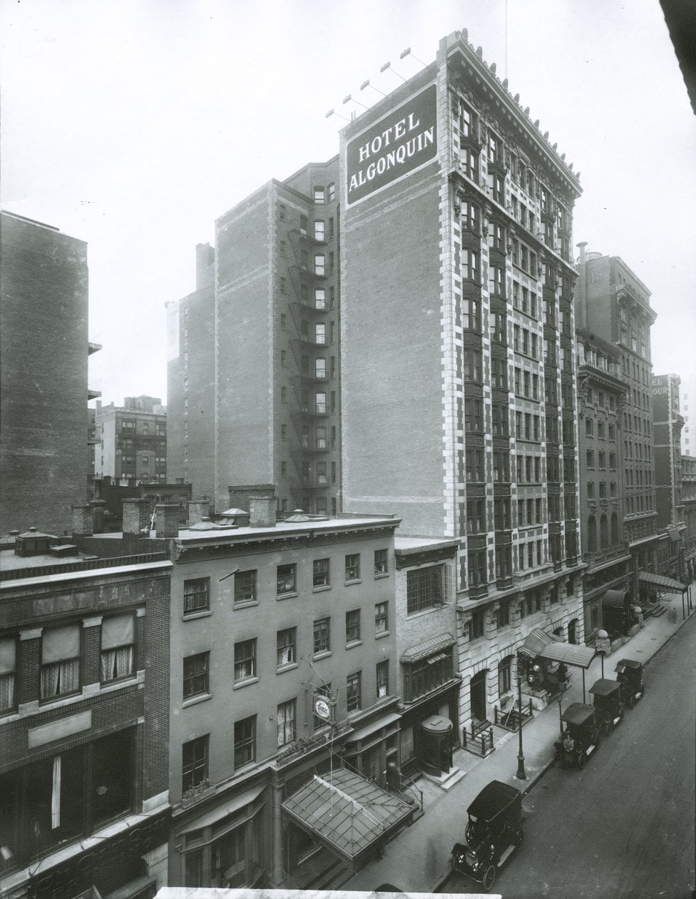 Hotel Algonquin，West 44th Street，纽约市 作者 GP堂和儿子