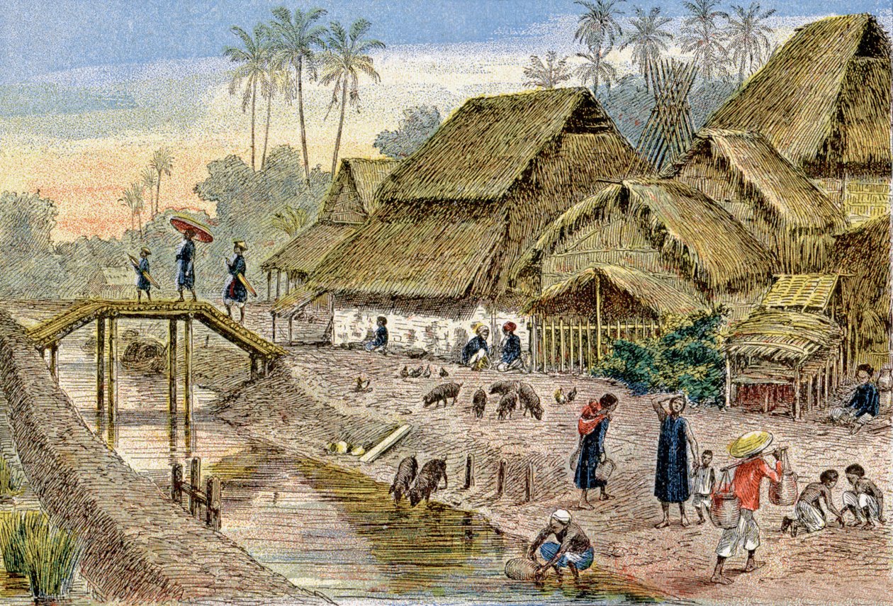 法属印度支那的安南村庄，约 1900 年（插图） 作者 G.达舍尔