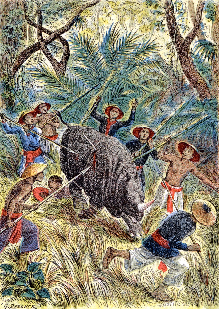 犀牛狩猎，法属印度支那，约 1900 年（插图） 作者 G.达舍尔
