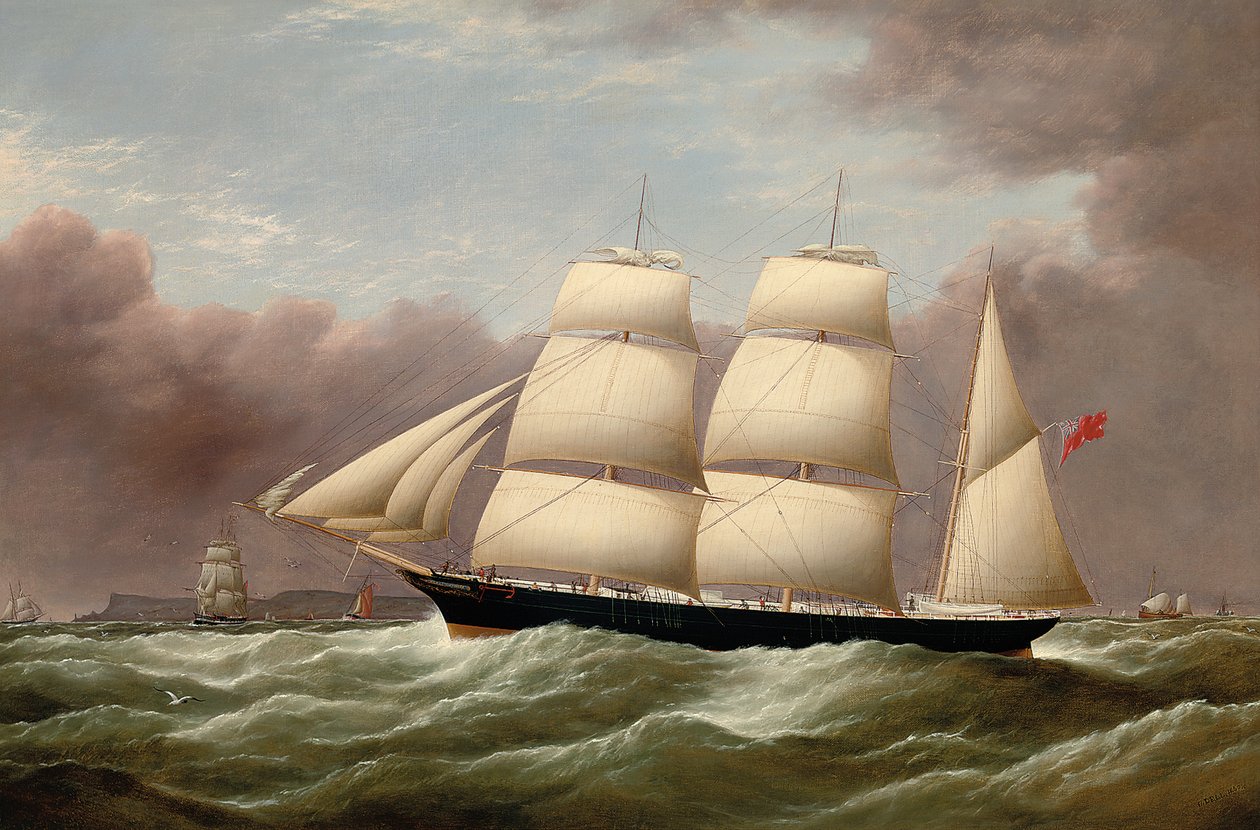 巴克·阿尔弗雷德·霍利（Barque Alfred Hawley）驶入利物浦的途中，离开了野马，1860年 作者 戴尔