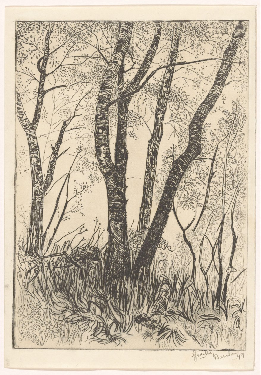 高草丛中的树木 作者 G. van der Mey（艺术家签名）