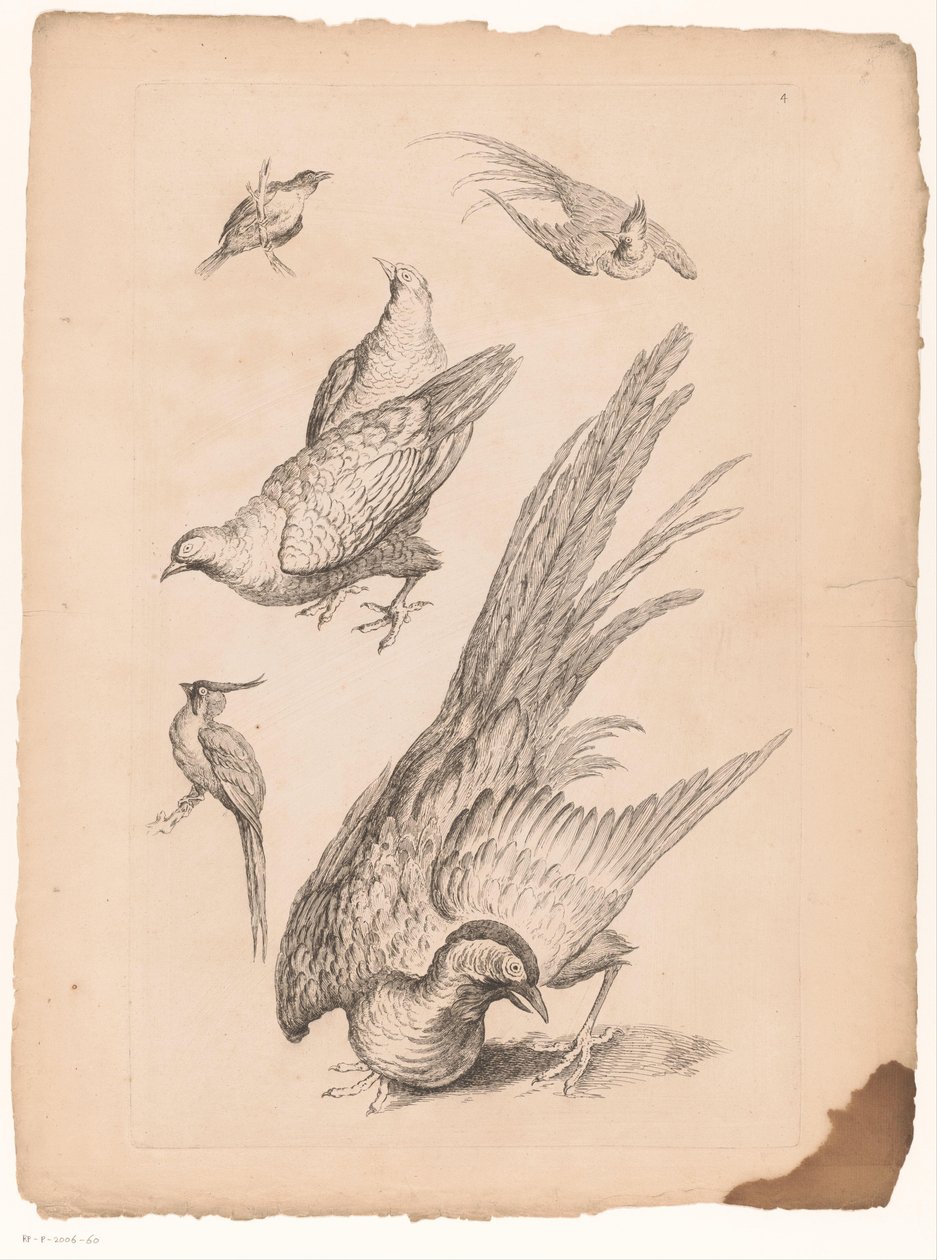Zes Chinese vogels
不同种类的中国鸟类（丛书名）
不同种类的中国鸟类（丛书名） 作者 加布里埃尔·胡奎尔（归因于）