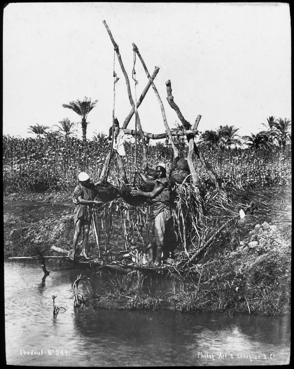 埃及尼罗河上的沙杜夫（Shaduf），建于1890年 作者 加布里埃尔·莱克吉安（Gabriel Lekegian）