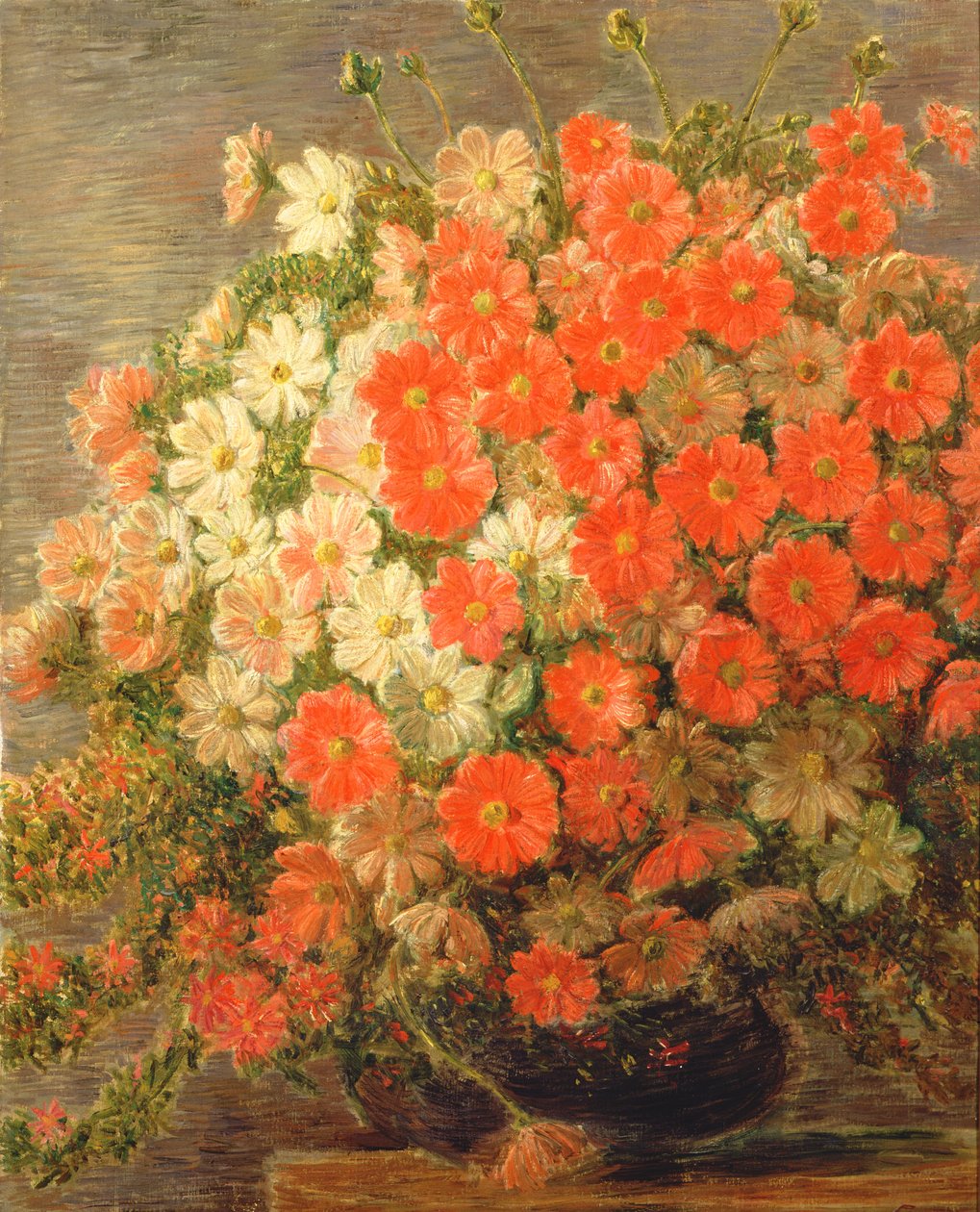 大丽花 作者 加埃塔诺·普雷维亚蒂（Gaetano Previati）