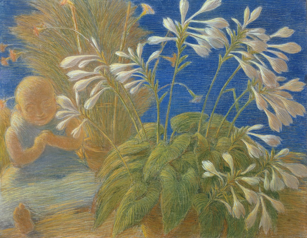 日本百合，1906年 作者 加埃塔诺·普雷维亚蒂（Gaetano Previati）