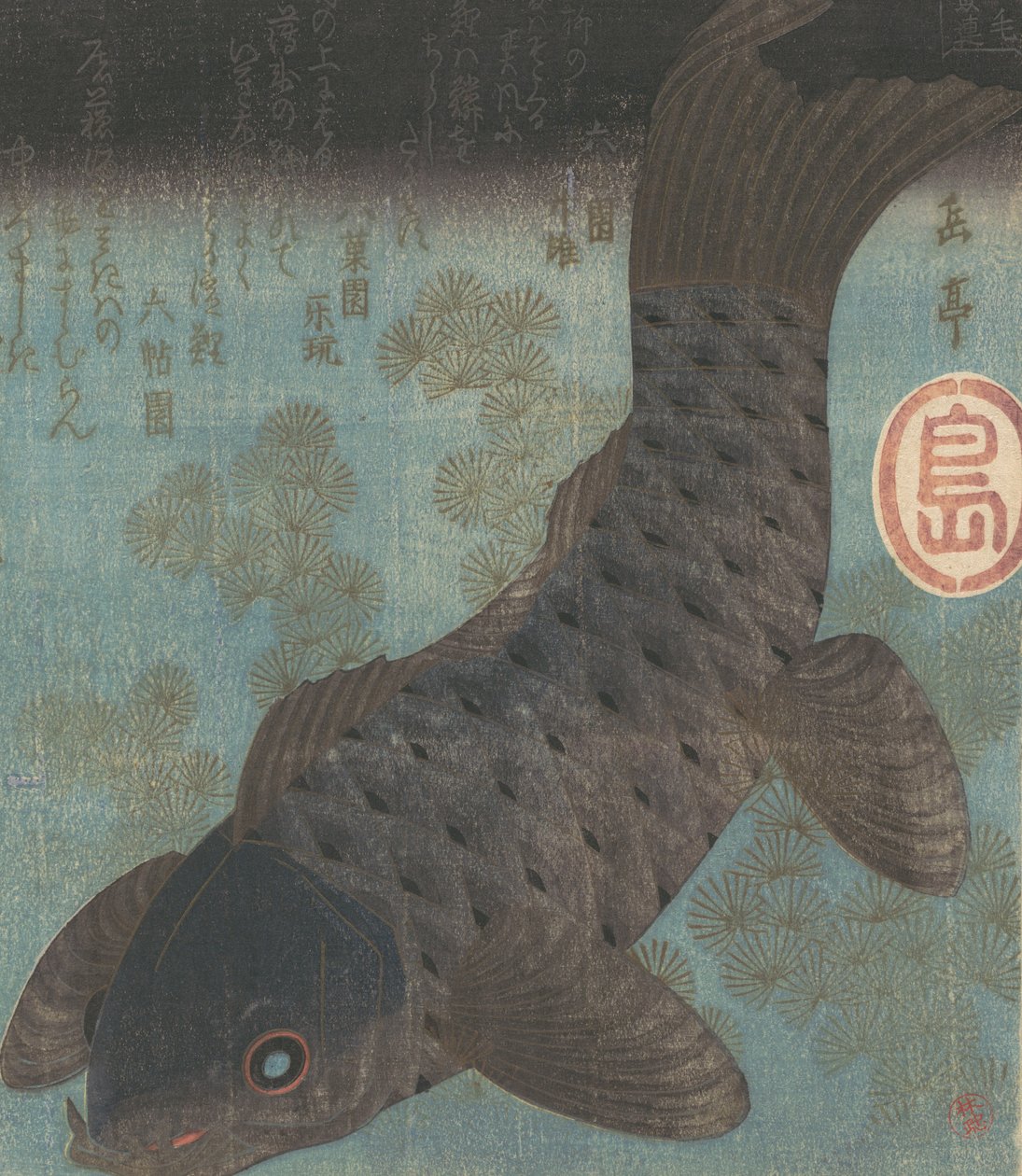 鲤鱼和松树。 作者 学亭
