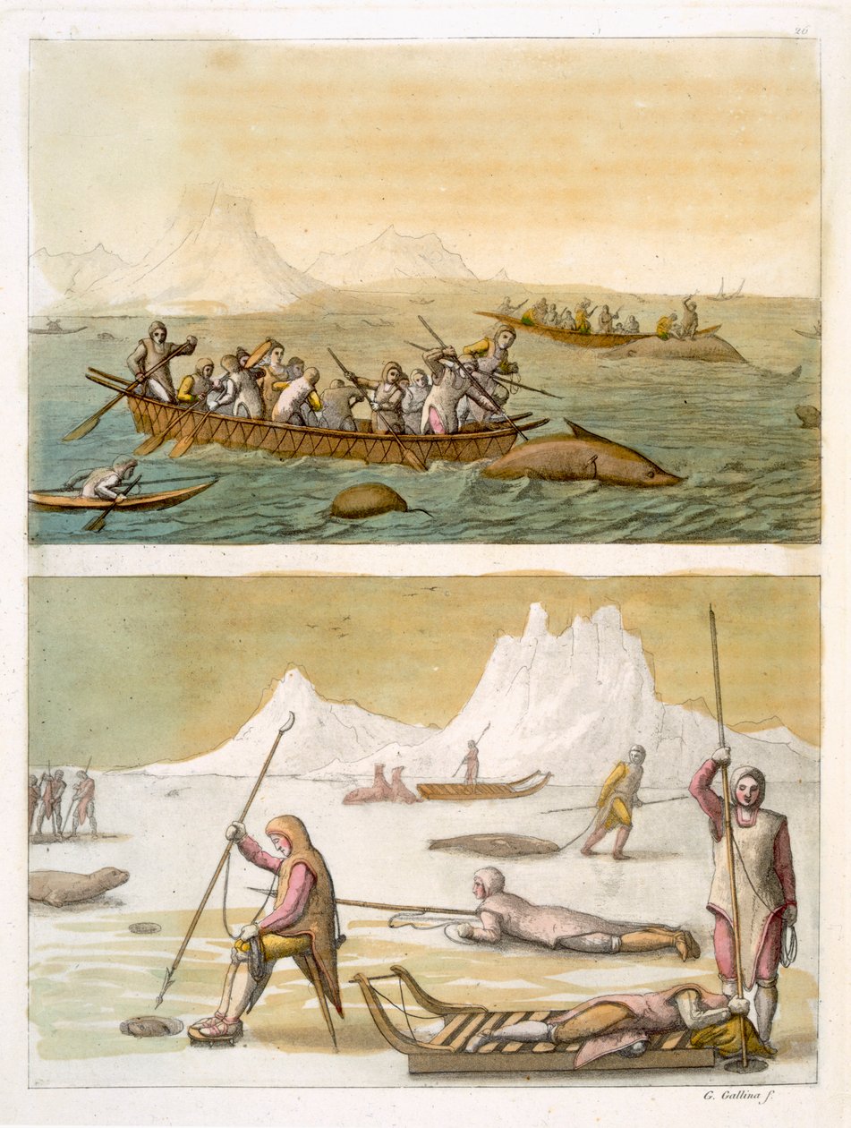 格陵兰岛：鲸鱼捕捞和海豹狩猎，来自&39;Le Costume Ancien et Moderne&39;，第一卷，第26卷，由Jules Ferrario出版，出版于1820年代至30年代（彩色版画）（另见116101） 作者 加洛·加里纳（Gallo Gallina）
