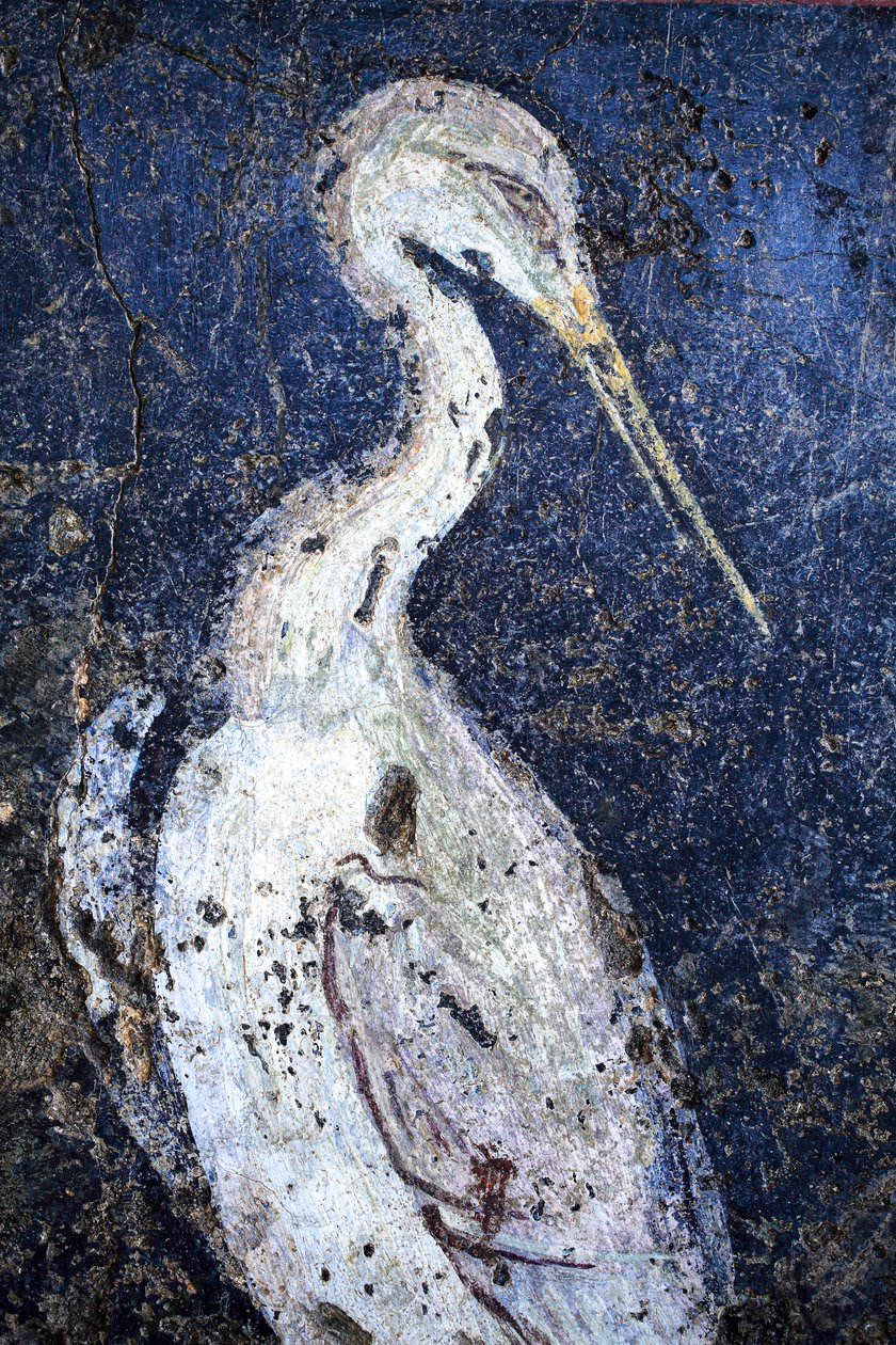 罗马壁画 作者 加洛·罗马