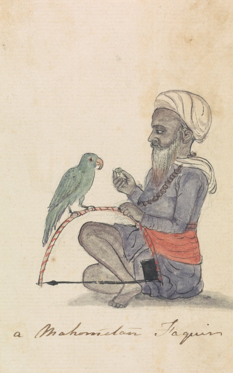 莫哈米丹人和他的鹦鹉 作者 Gangaram Chintaman Tambat