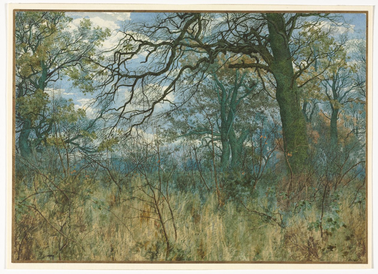 树木和树丛，1885年。 作者 花园威廉弗雷泽