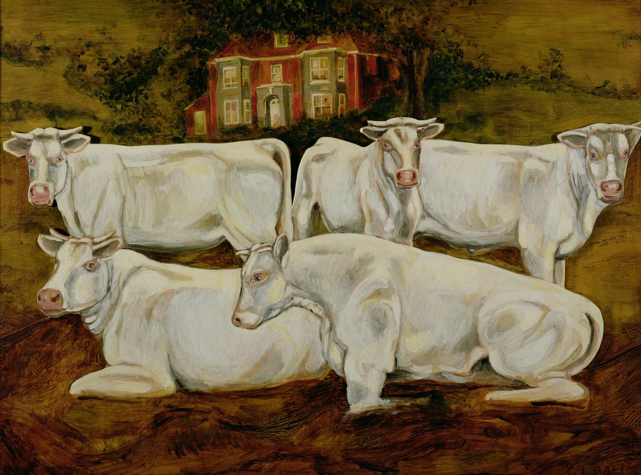 Charolais Bulls，Dippenhall，Farnham 作者 加雷斯·劳埃德·鲍尔