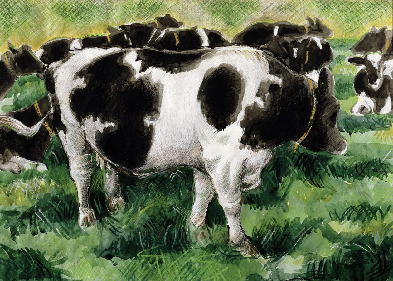 Friesian Cows（wc） 作者 加雷斯·劳埃德·鲍尔