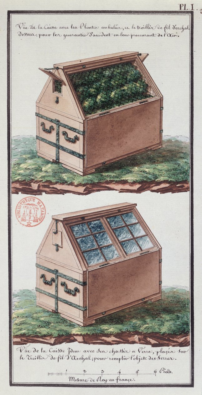 从Jean-Francois Gallup de la Perouse（1741-88）探险期间制作的艺术家笔记本中输送植物的抽屉的插图（笔和墨水和纸张上的wc） 作者 加斯帕德·杜切·德·万西