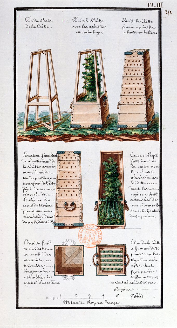 在Jean-Francois Gallup de la Perouse（1741-88）探险期间制作的艺术家笔记本中运输灌木和灌木的特殊柜子的插图（笔和墨水和纸板上的纸 作者 加斯帕德·杜切·德·万西