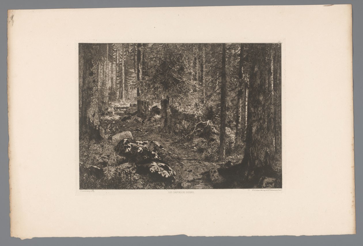 森林景观
Les sapins du Doubs（物上标题）
1876 年的法国蚀刻版画（系列名称）
L