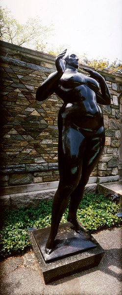 站立的女人(仰视) 作者 加斯顿·拉奇兹（Gaston Lachaise）