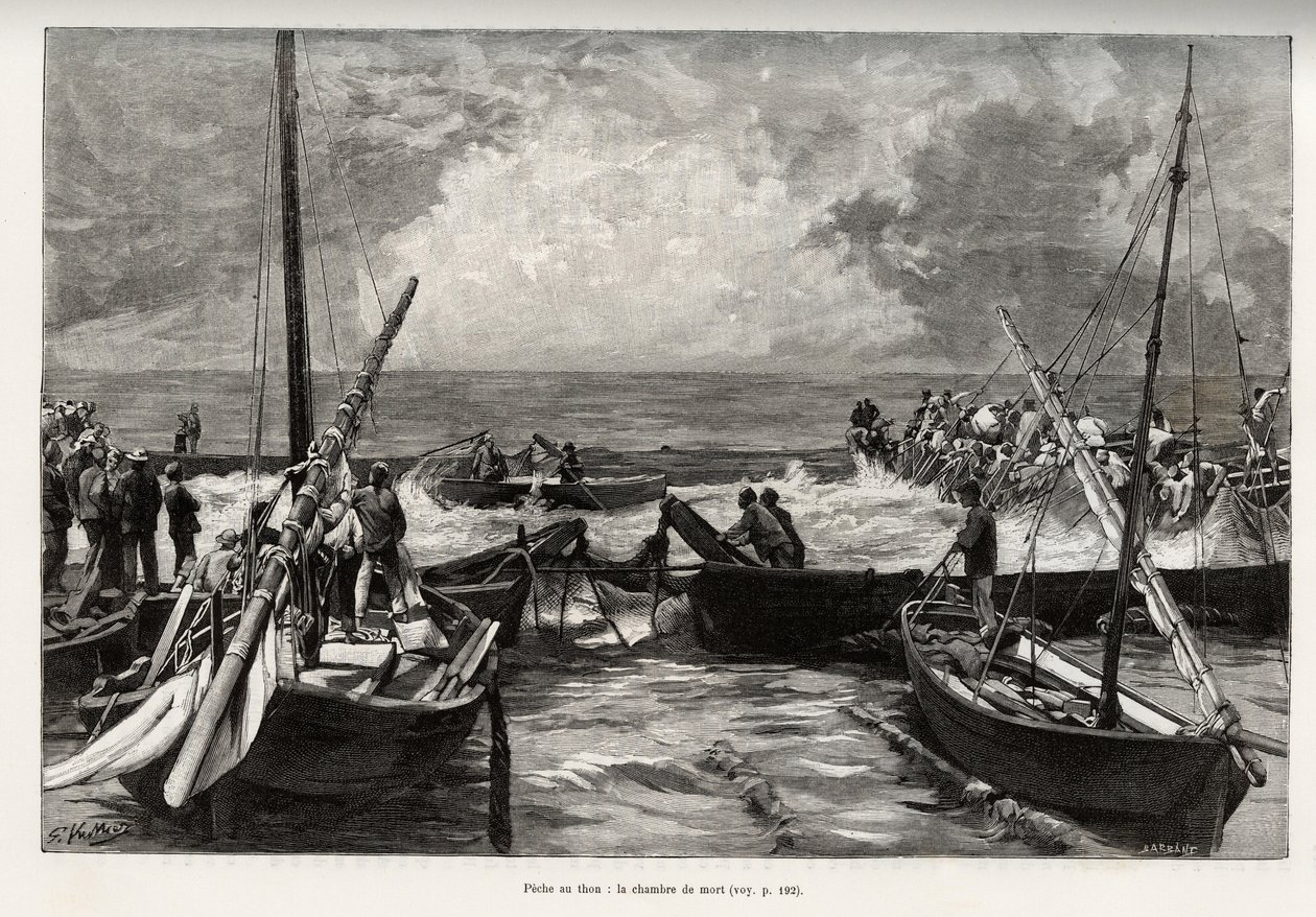Tuna fishing (mattanza): the death chamber, tuna presses in a tight space are covered by the harpoons of the fishermen. Engraving and story “” La Sardaigne”” by Gaston Vuillier (1845-1915), in 1890, in Le tour du monde, nouveau journal des voyages, under t 作者 加斯顿·沃利耶（Gaston Vuillier）