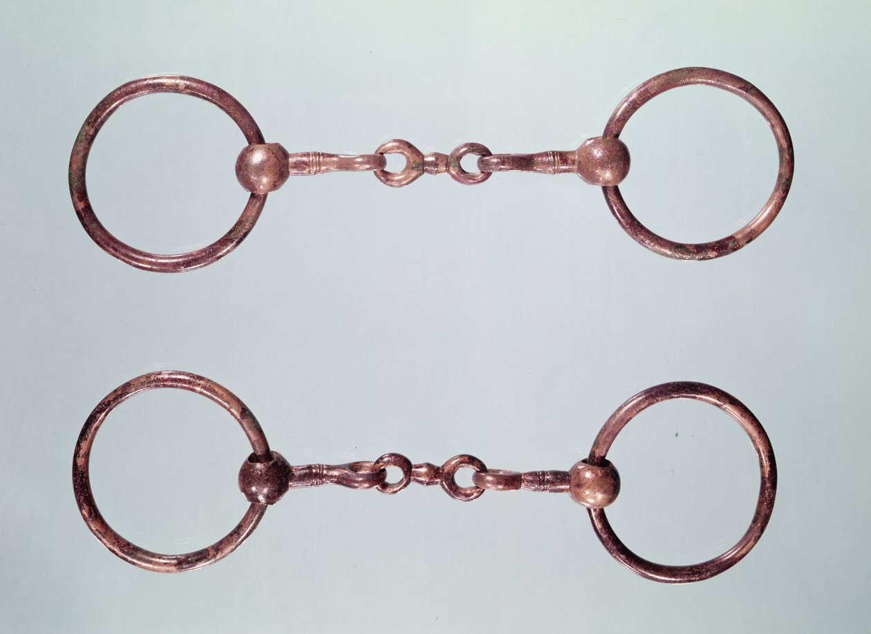 马嚼子，来自La Gorge-Meillet，Tene I（公元前475-0）（青铜） 作者 高卢什