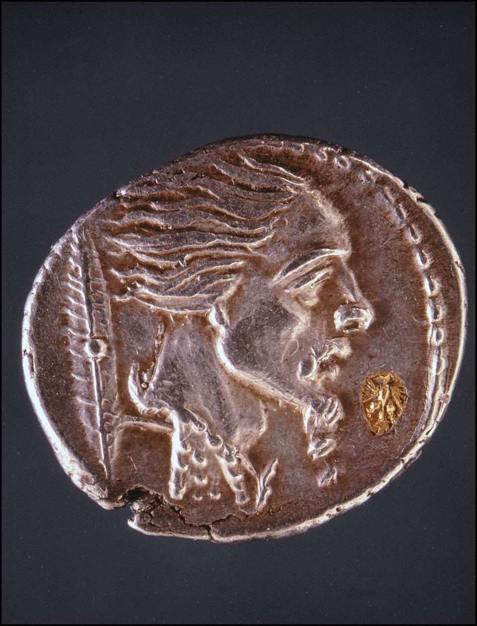 Presume profile of Vercingetorix on a Gauloise piece. Museo del Medagliere. Milan 作者 格里什格里什