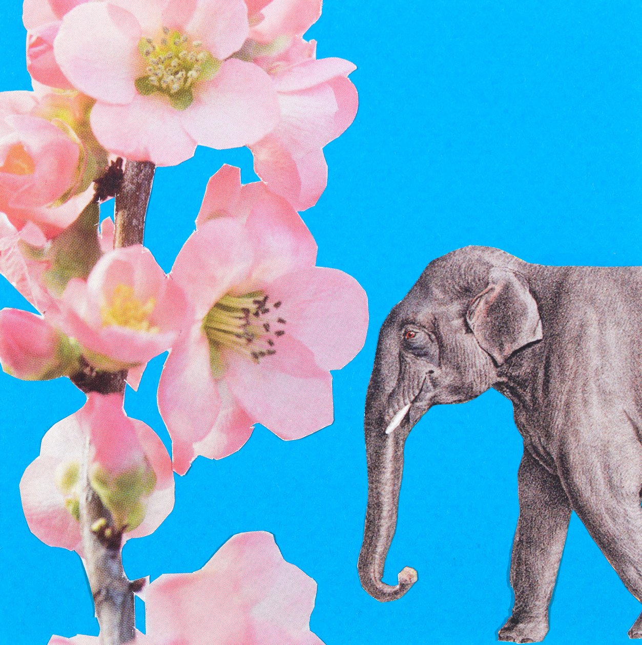 大象开花》，2018 年，拼贴画 作者 吉纳维芙·法兰西
