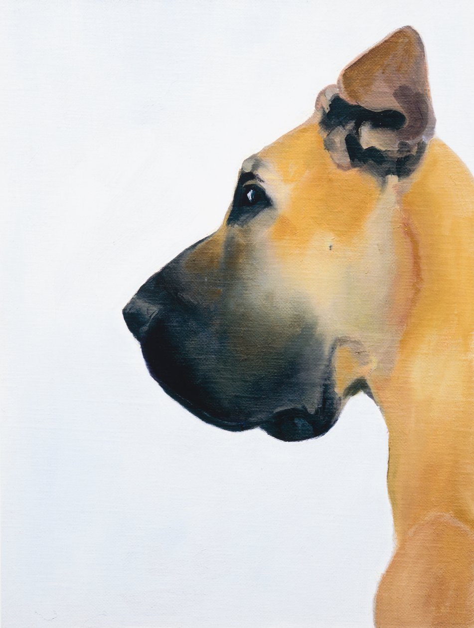 大丹犬，2016（木板油画） 作者 吉纳维芙·法兰西