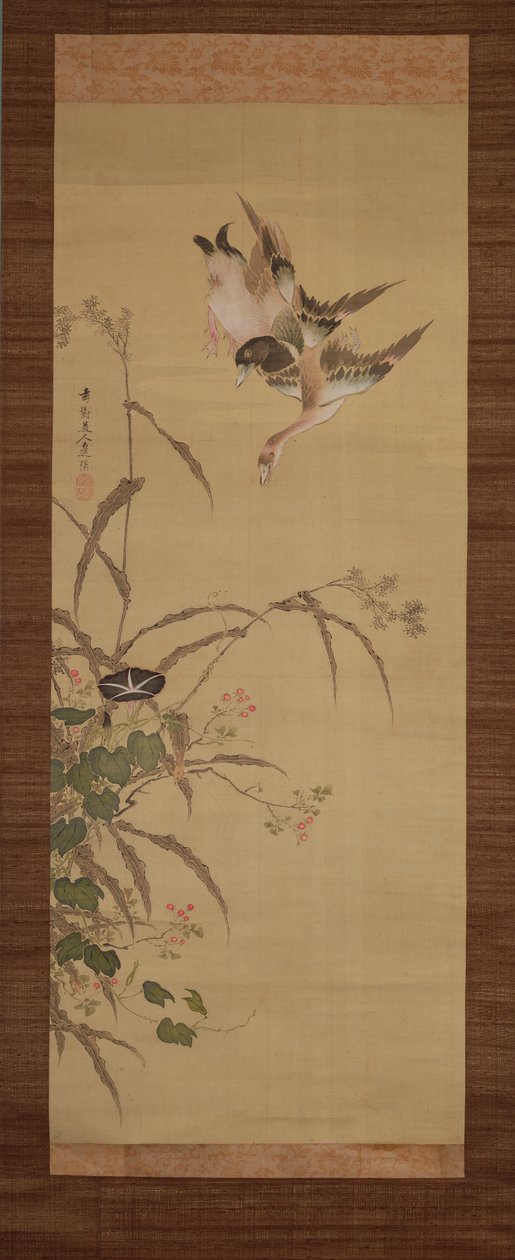 鸭子，花和草，c.1800-22（丝绸上的墨水和颜色） 作者 Gentai Sanjin