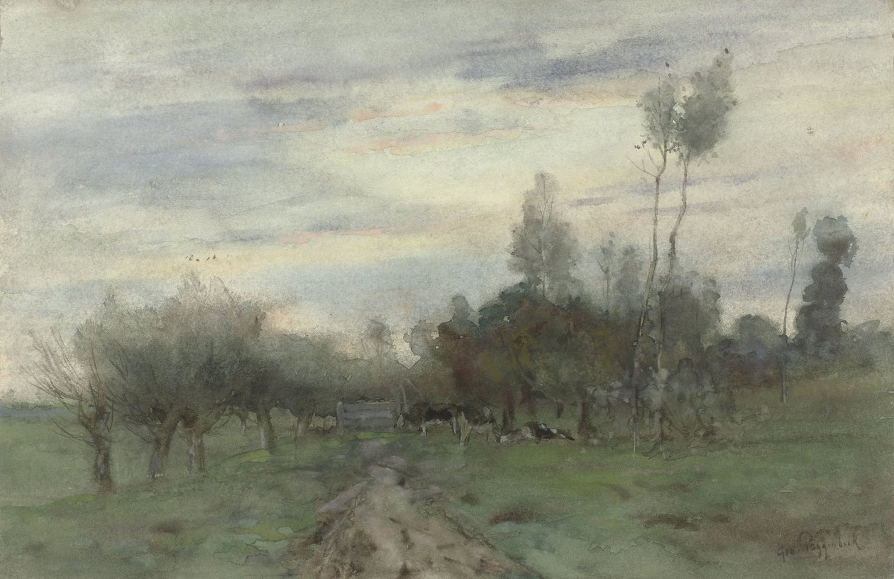 Landweg met koeien in de schemering 作者 地理波根贝克