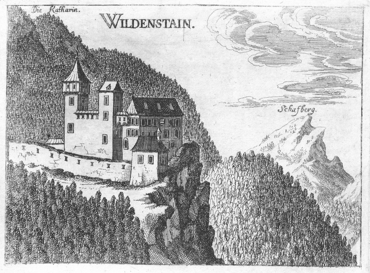 雕刻，Wildenstein城堡，上奥地利州看法 作者 格奥尔格·马特乌斯·维舍尔
