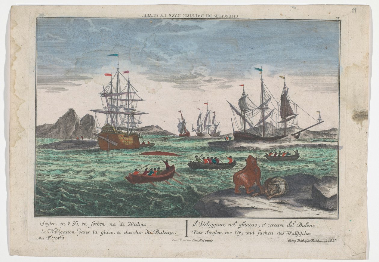 寻找鲸鱼的景色
Das Seeglen ins Eiß, und Suchen des Wallfisches（物上标题）
格陵兰近海捕鲸（系列标题） 作者 乔治·巴尔塔萨·普罗布斯特（Georg Balthasar Probst）
