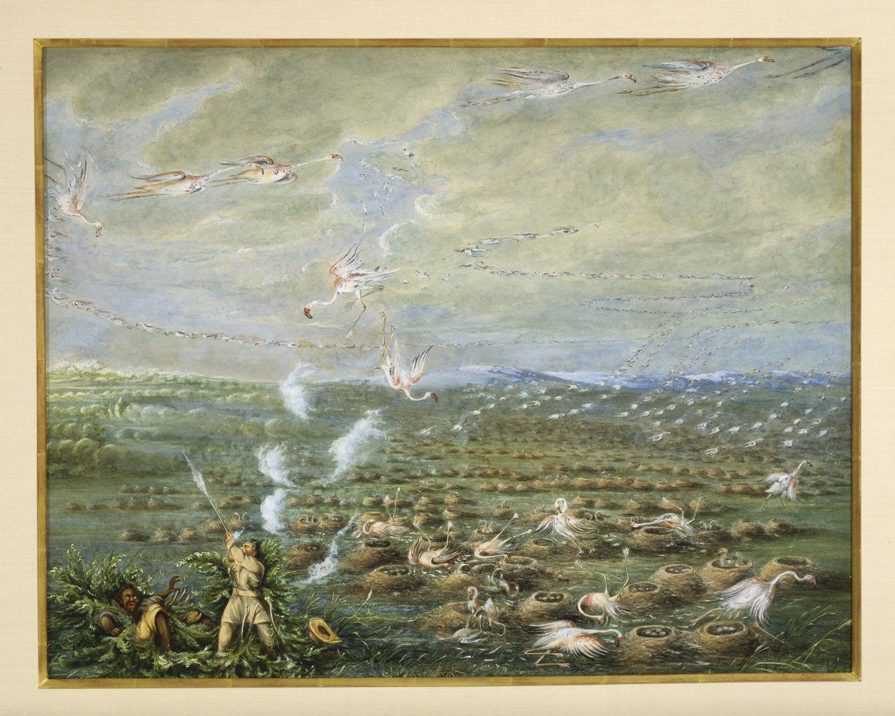 1856年在南美洲拍摄的火烈鸟（水粉画和纸板上的wc） 作者 乔治·卡特琳